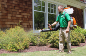 Mosquito Joe of Tinley-Orland technician spraying bushes out of a home. 