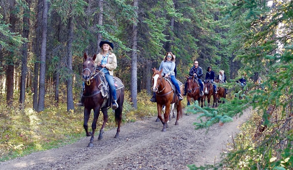 Several people horseback riding along a dirt path in the woods.